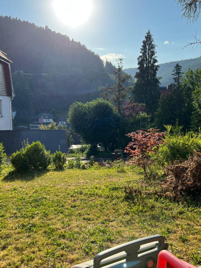바드윌드바드 Viva La Wildbad 아파트 외부 사진