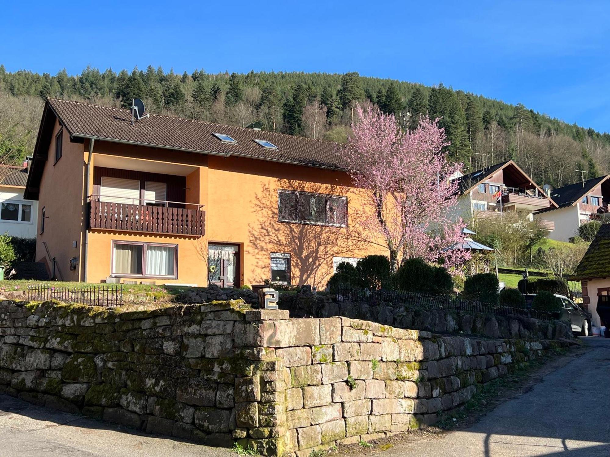바드윌드바드 Viva La Wildbad 아파트 외부 사진