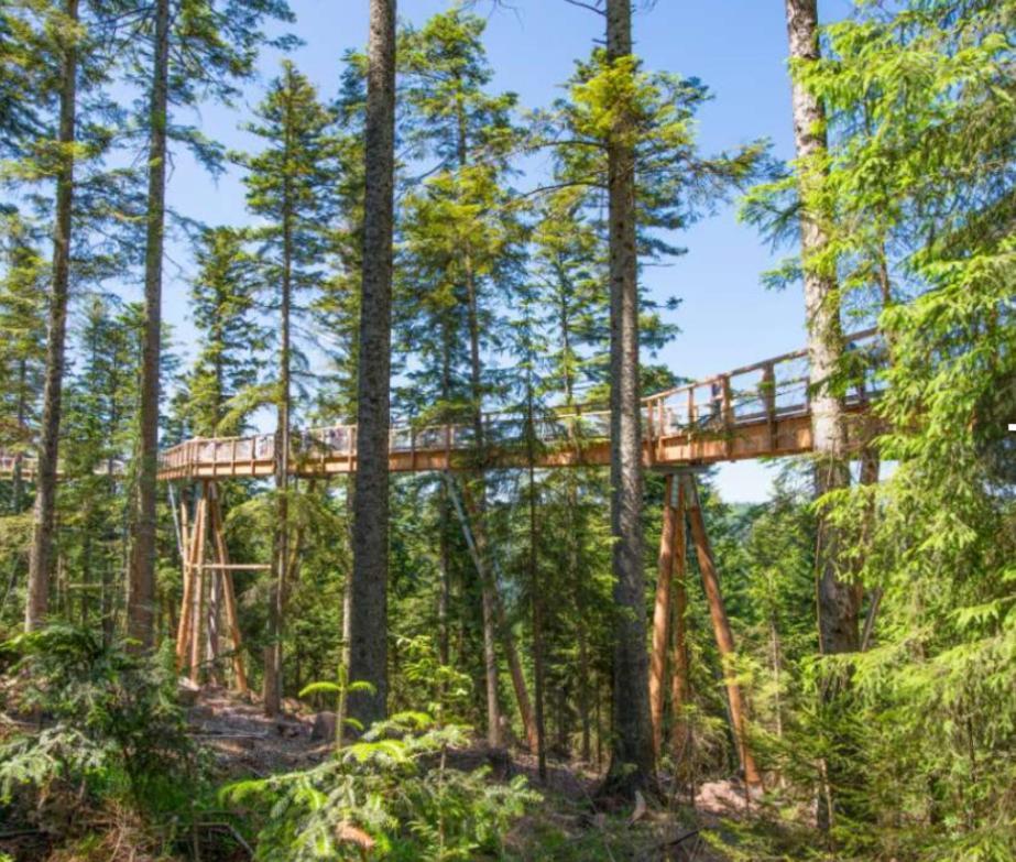 바드윌드바드 Viva La Wildbad 아파트 외부 사진